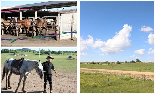 乾港集團(tuán)高層草原自駕游 乾港集團(tuán)高層草原自駕游
