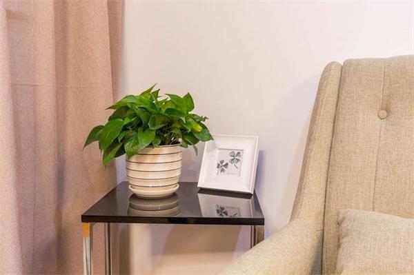 乾港集團,乾港官網(wǎng),乾港網(wǎng)絡,室內(nèi)空氣凈化公司